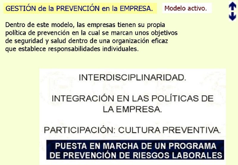 10 MODELO GESTION PRL